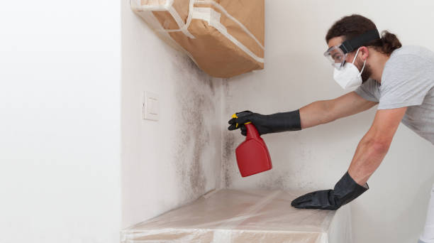 Professional Mold Inspection And Testing technician working in Kingston, NJ