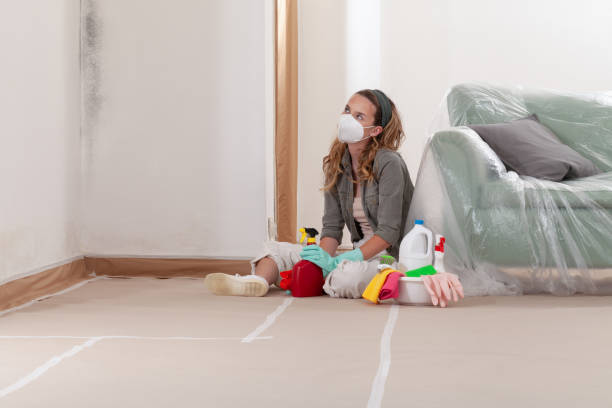 Reliable Mold Inspection And Testing contractor in Kingston, NJ by Mold Remediation HQ